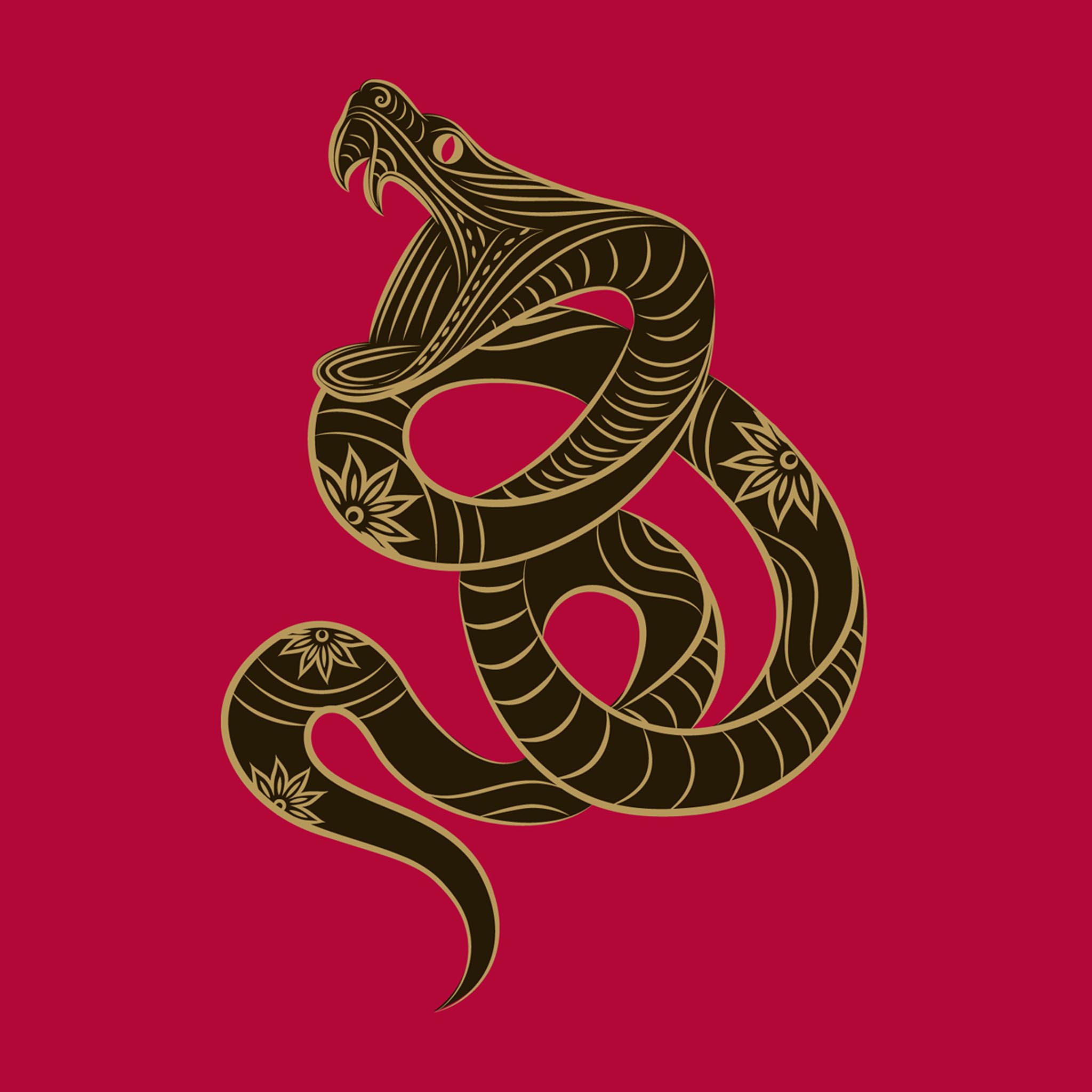 Знак змейки. Змеи. Знак змеи. Змей символ. Эмблема змеи.