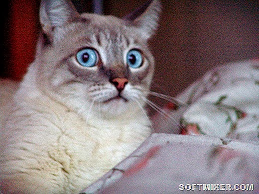 [1287300624211%255B9%255D.jpg]