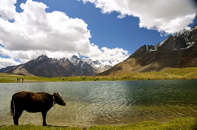 Zanskar_Valley_Ladakh