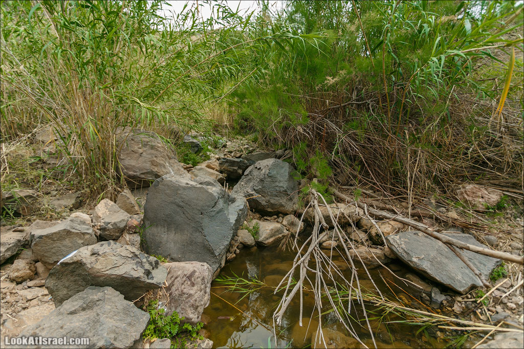 LookAtIsrael.com: Фото-блог о путешествиях по Израилю. Тель Авив, Иерусалим, Хайфа 