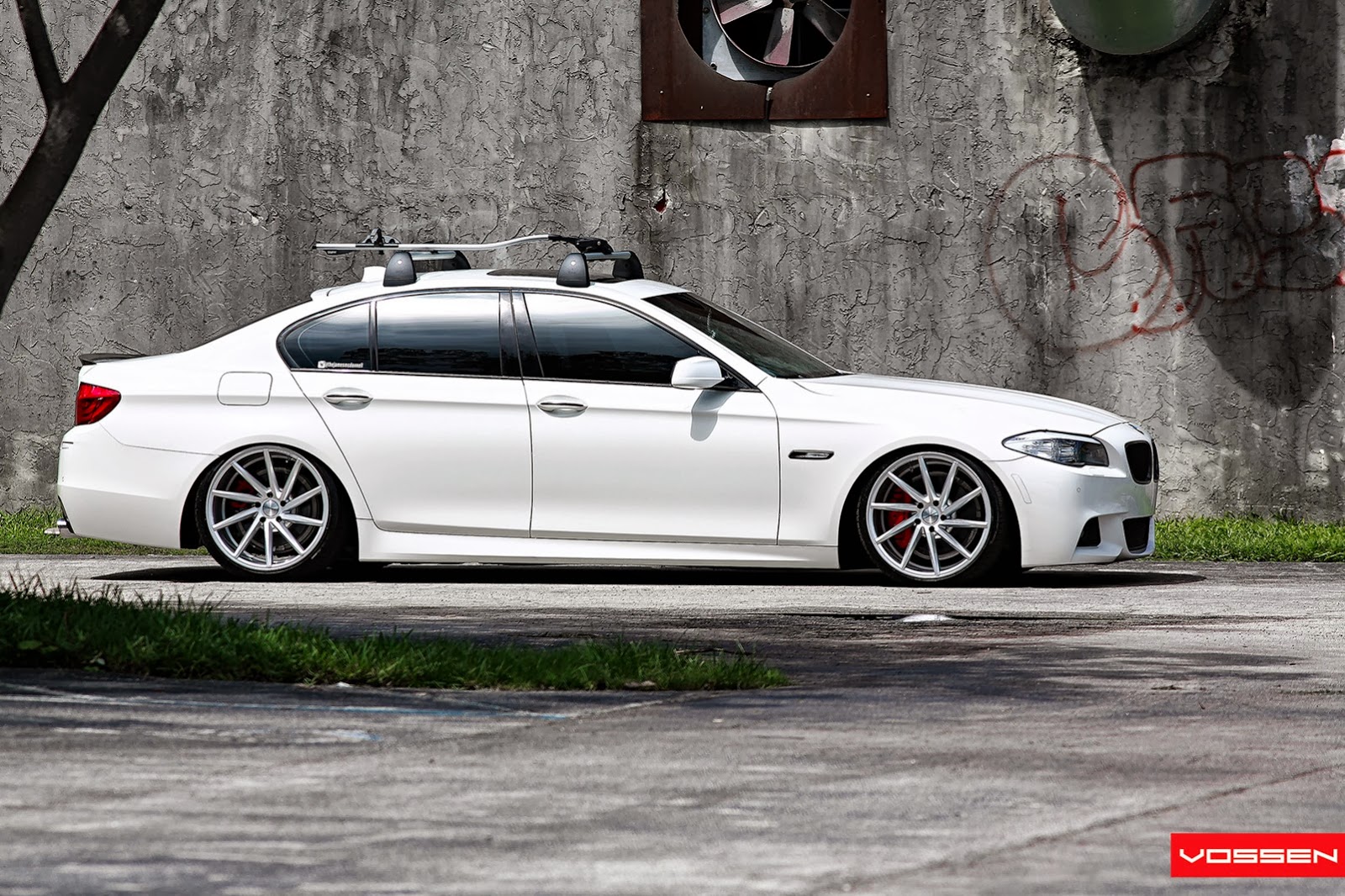 [Vossen-20%255B2%255D.jpg]