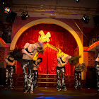 IMG_8500.JPG