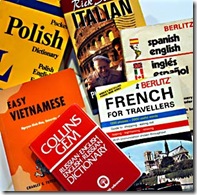 learning language via website internet