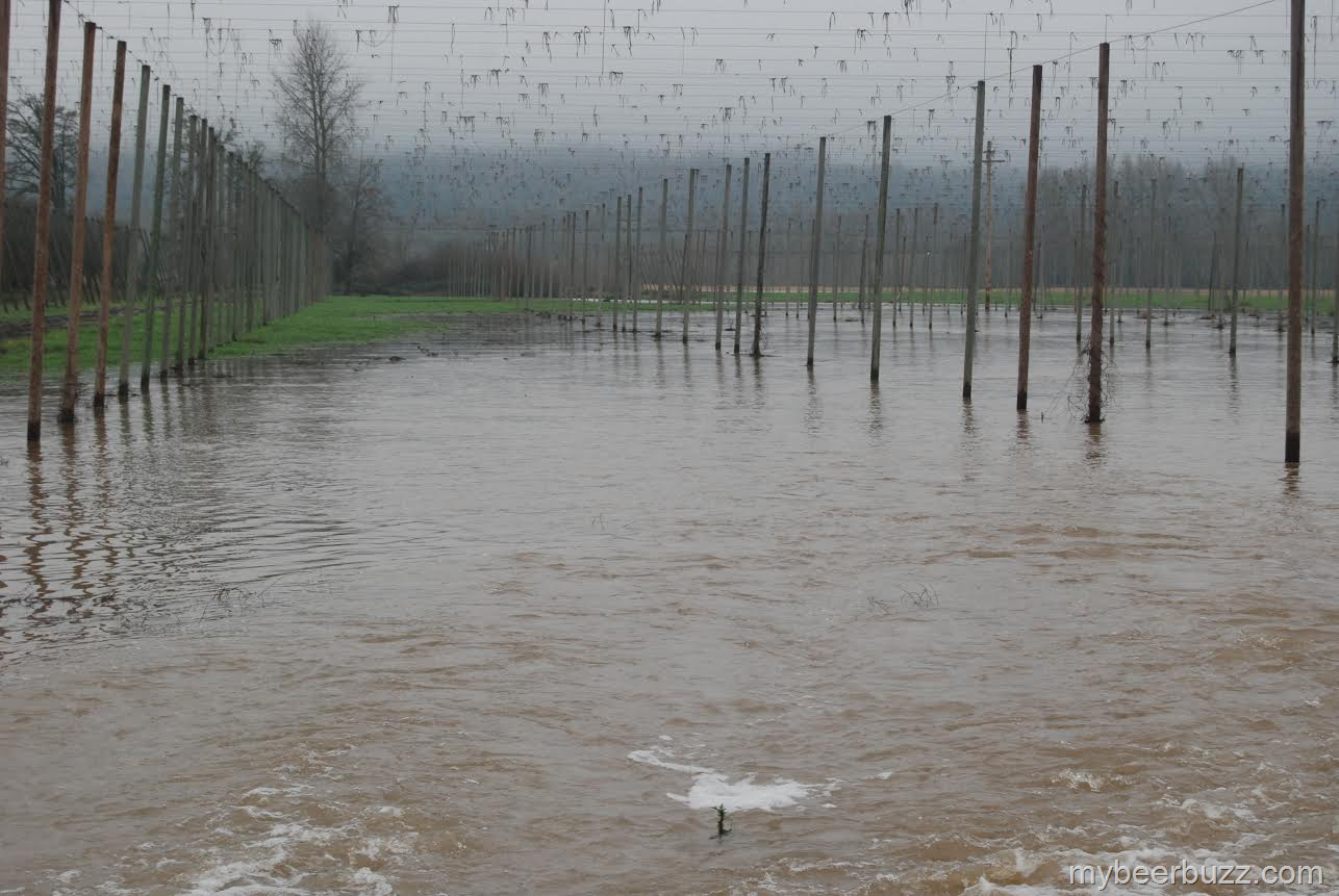 [image%255B30%255D.png]