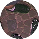 David Paradiso profile picture