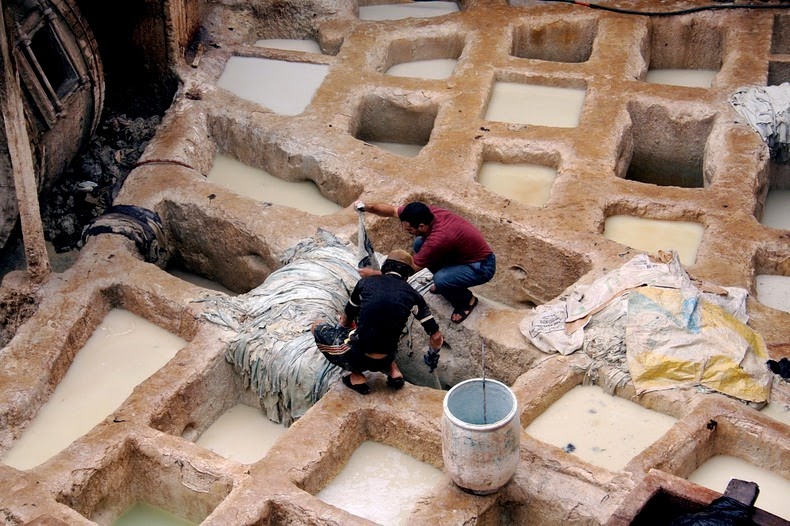 tannery-fez-16 tannery-fez-16