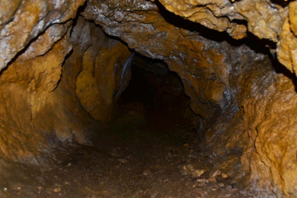 [DSC_02923.jpg]
