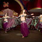 IMG_9064.jpg
