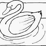 cisne-2.jpg