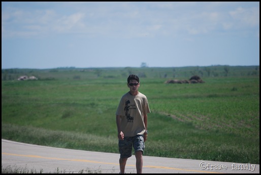 DSC_0217 DSC_0217