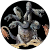 Gulgathydra . Gulgathydra .