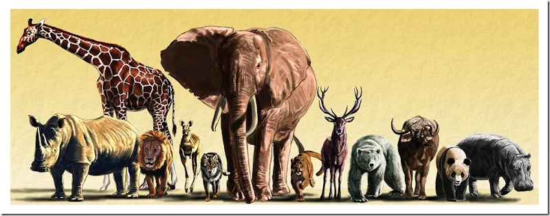 animals_by_dustdevil-d30omj4