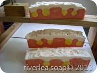 Soap Logs2