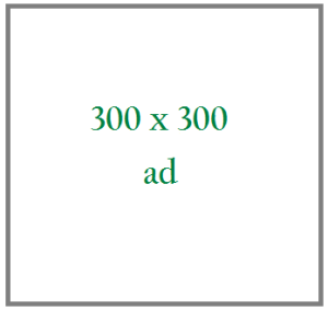 [300ad2.png]