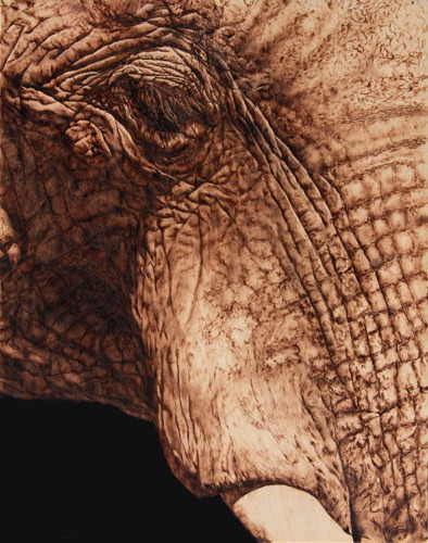 Elephant-Portrait