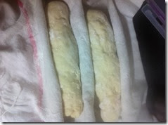 IMG_1385 IMG_1385