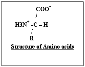 What is Amino acid and its Structural Chemistry?
