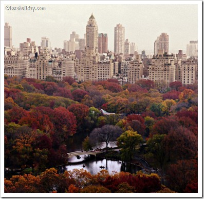New-York-City-Fall_2