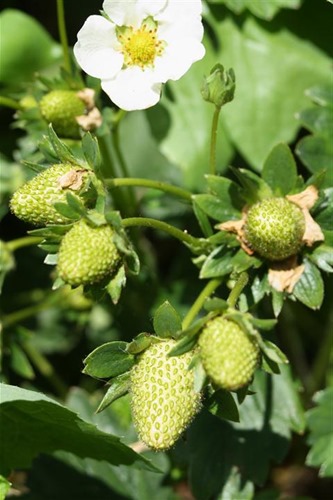 20100602 (4) (Small)