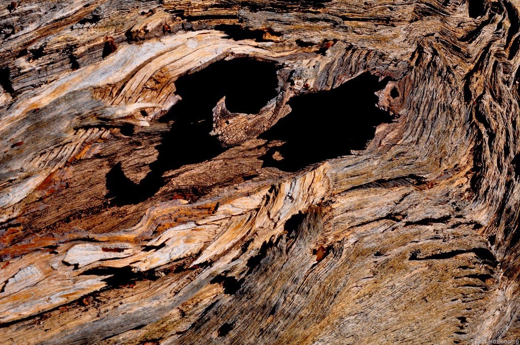 [DSC_0010-006%255B4%255D.jpg]