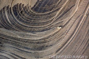 [DSC_7534_thumb%255B4%255D.jpg]