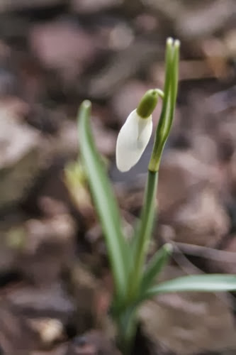 20100310 (5) (Large)