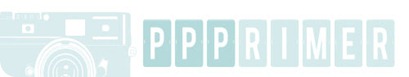 ppp button 500
