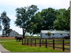 Tanglewood Park Stables