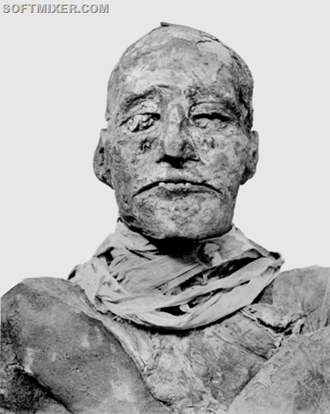 480px-Ramses_III_mummy_head
