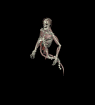 esqueleto-halloween-gifs-14