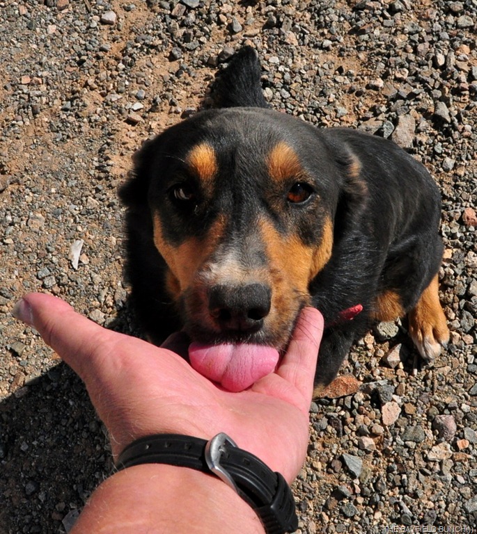 [DSC_0042%255B4%255D.jpg]