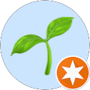 Un Utilisateur Google