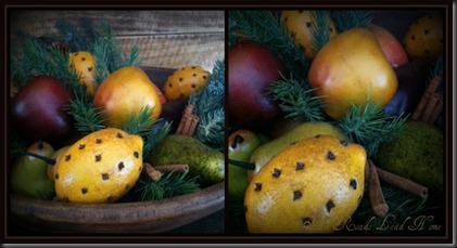 xmas fruit collage ARLH