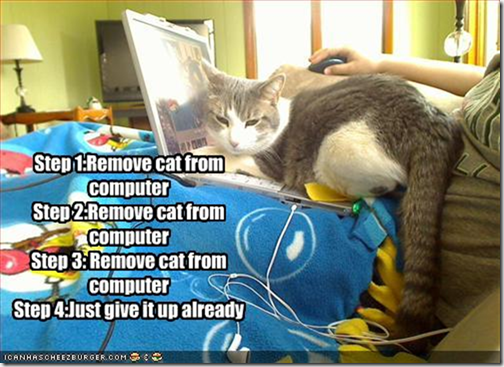 cat-is-on-your-computer (Small)
