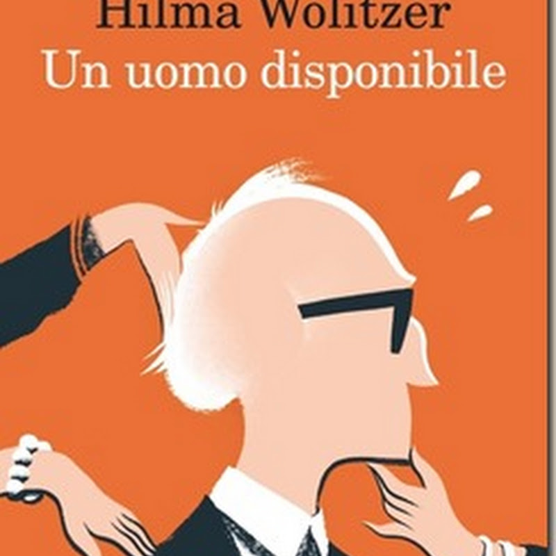 Recensione 'Un uomo disponibile' di Hilma Wolitzer - Feltrinelli