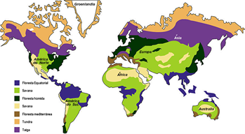 Biomas Mapas