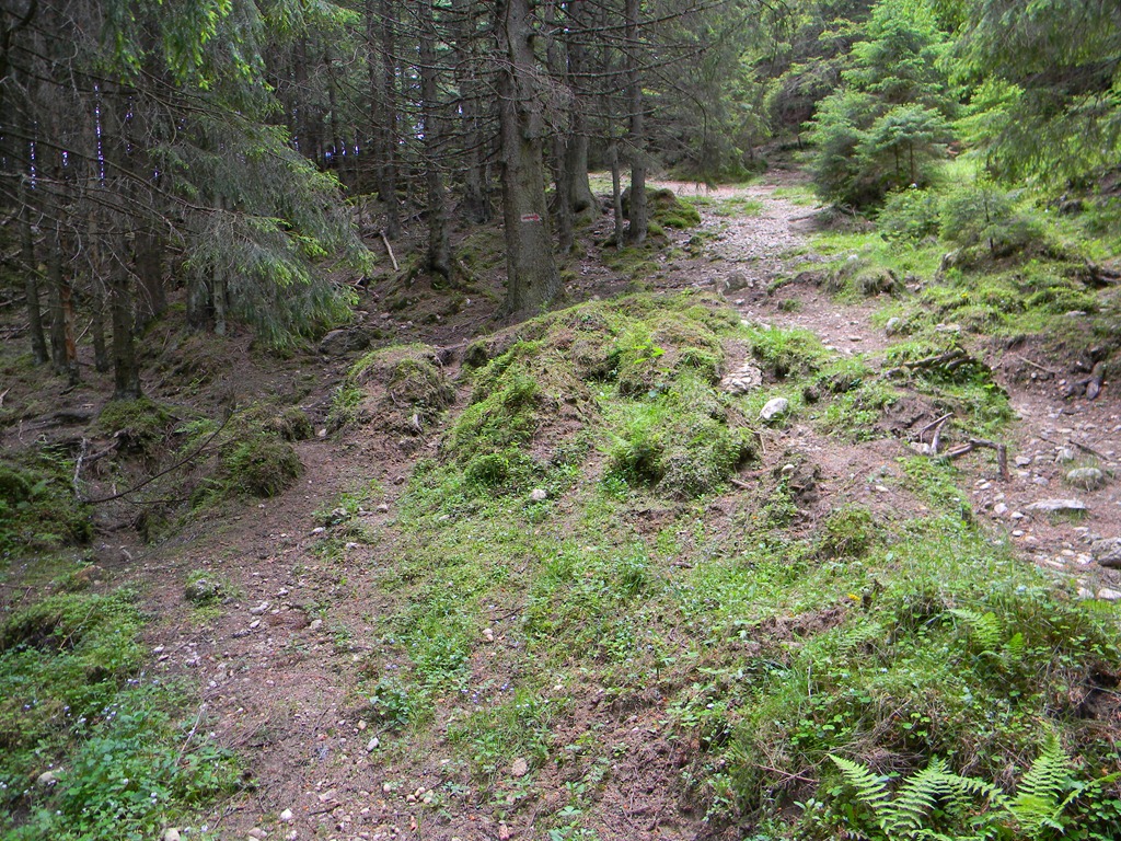 [DSCN21053.jpg]