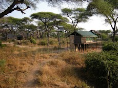 DSCN6056.JPG
