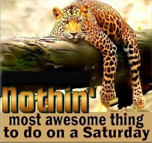 68799-Most-Awesome-Thing-To-Do-On-Saturday