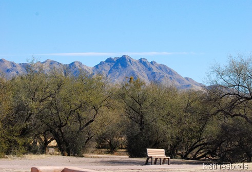 9. mesquite bosque-kab