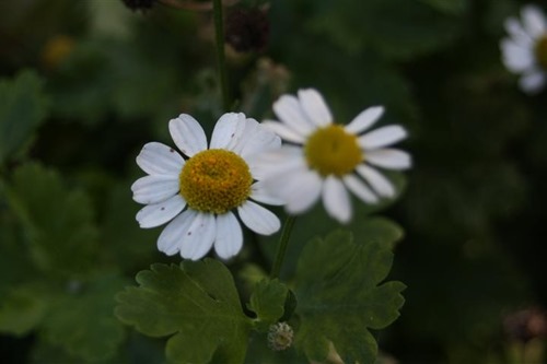 20101013.jpg (5) (Small)