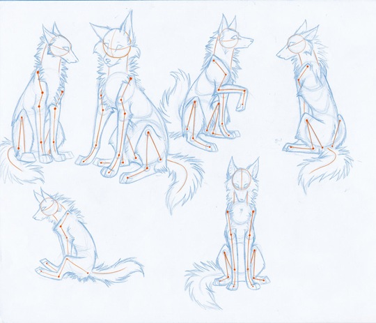 Desenhando lobos Part 5