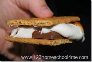 Camping Glassic - Smores Camping Glassic - Smores