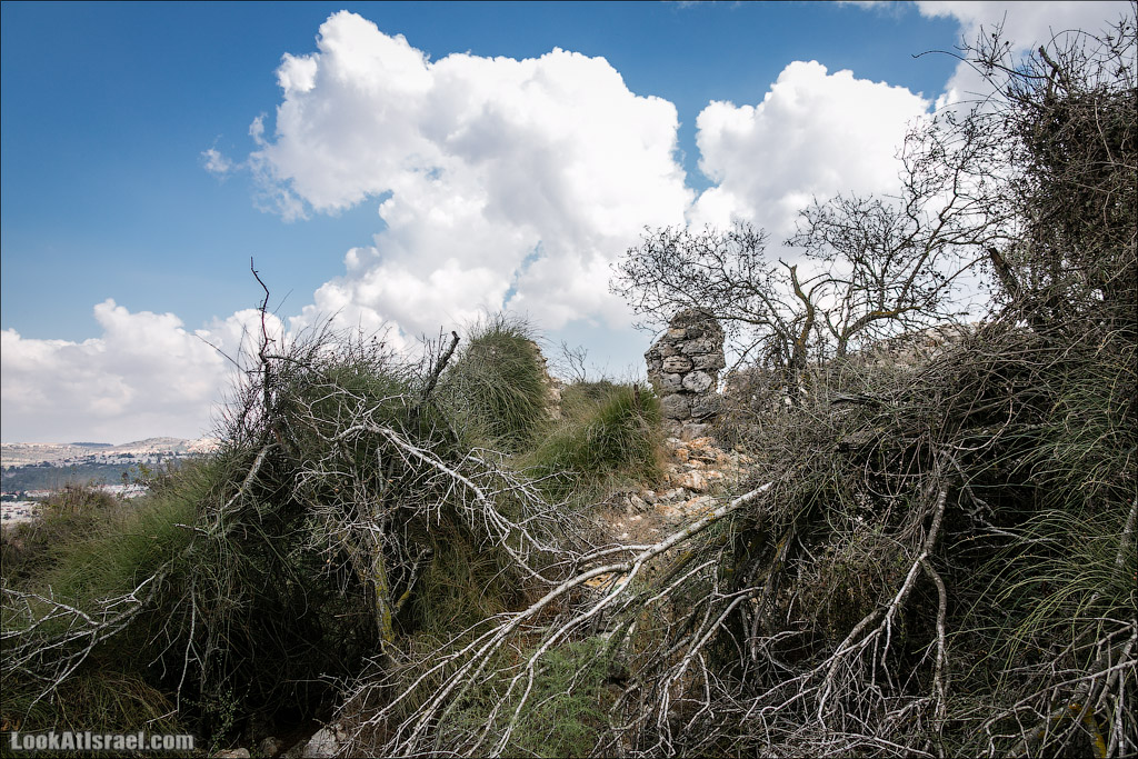 LookAtIsrael.com - Фото путешествия по Израилю | Крепость Бельмонт в кибуце Цуба | Belmont fortress