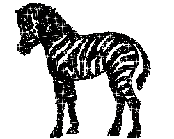 caballos%252520%25252815%252529_thumb