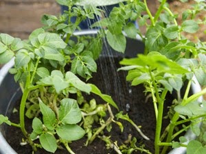 [clip_image005%255B3%255D.jpg]