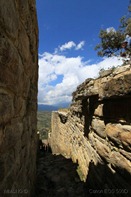 IMG_4485 IMG_4485