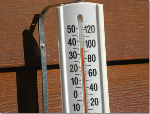 thermometer 002
