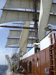 2013-04-24 Horta - 04