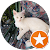 Bobbles The Environmentalist Kitten Bobbles The Environmentalist Kitten